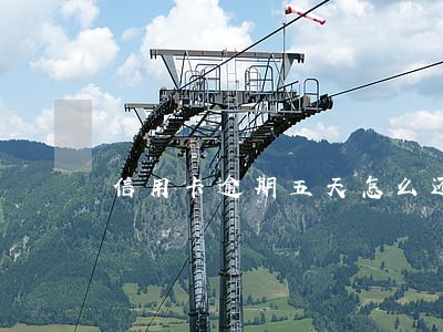 信用卡逾期五天怎么还 信用卡逾期五天怎么还