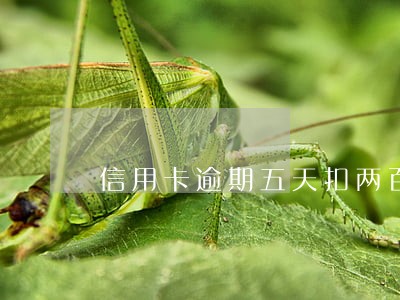 信用卡逾期五天扣两百合法吗 信用卡逾期五天扣两百合法吗
