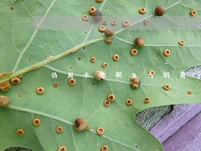 信用卡逾期五天招商 信用卡逾期五天招商