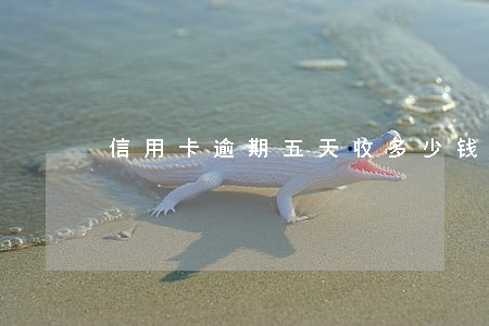信用卡逾期五天收多少钱 信用卡逾期五天收多少钱