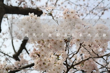 信用卡逾期五天最低还款可以吗 信用卡逾期五天最低还款可以吗
