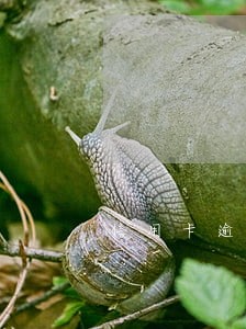 信用卡逾期五天没上征信 信用卡逾期五天没上征信