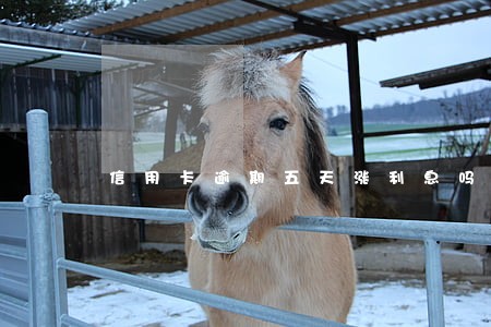 信用卡逾期五天涨利息吗 信用卡逾期五天涨利息吗