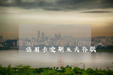 信用卡逾期五天补救 信用卡逾期五天补救