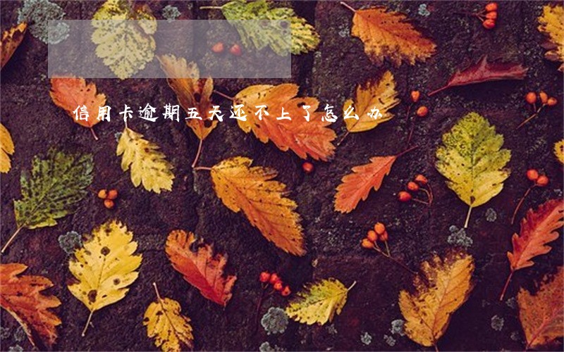 信用卡逾期五天还不上了怎么办 信用卡逾期五天还不上了怎么办