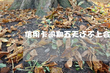 信用卡逾期五天还不上会怎么样 信用卡逾期五天还不上会怎么样
