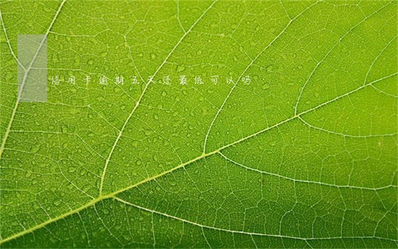 信用卡逾期五天还最低可以吗 信用卡逾期五天还最低可以吗