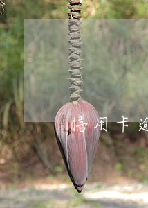 信用卡逾期五天还款影响信用