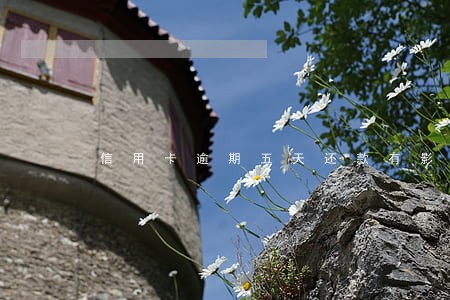 信用卡逾期五天还款有影响吗