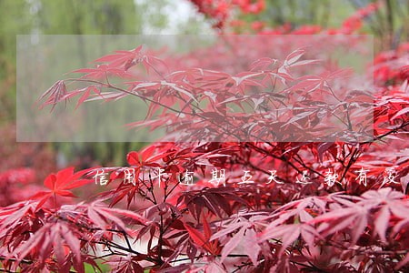 信用卡逾期五天还款有没有影响 信用卡逾期五天还款有没有影响