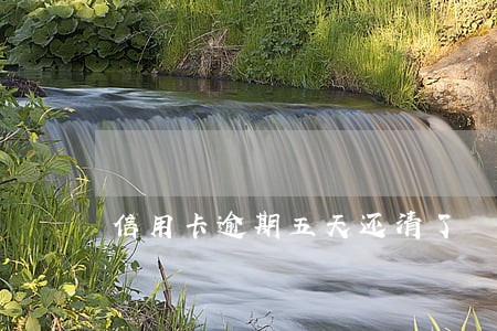 信用卡逾期五天还清了 信用卡逾期五天还清了
