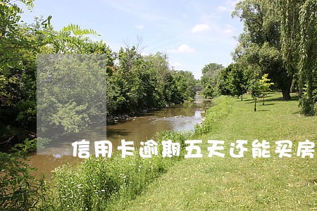 信用卡逾期五天还能买房吗 信用卡逾期五天还能买房吗