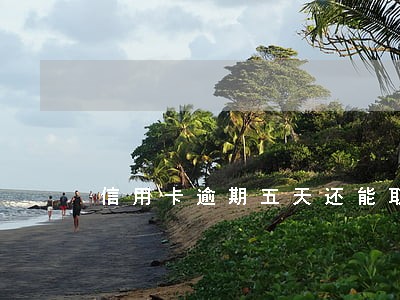 信用卡逾期五天还能取出来吗 信用卡逾期五天还能取出来吗