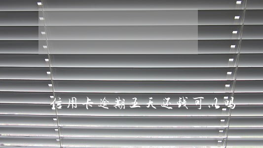 信用卡逾期五天还钱可以吗