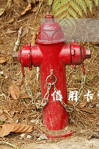 信用卡逾期五年之后可以用吗
