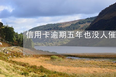 信用卡逾期五年也没人催了 信用卡逾期五年也没人催了