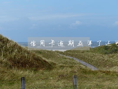 信用卡逾期五年了还可以分期吗