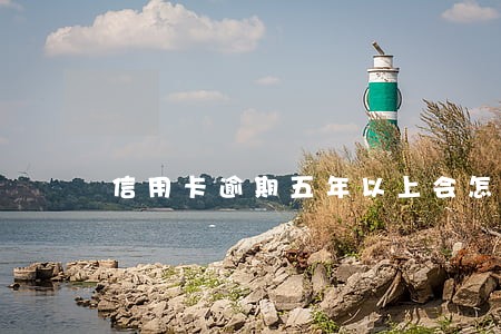 信用卡逾期五年以上会怎么处理 信用卡逾期五年以上会怎么处理