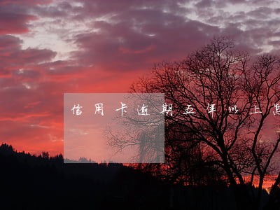 信用卡逾期五年以上怎么办 信用卡逾期五年以上怎么办