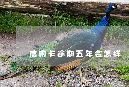 信用卡逾期五年会怎样