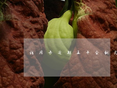 信用卡逾期五年会翻几倍 信用卡逾期五年会翻几倍