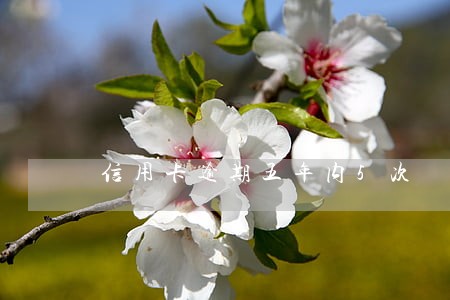 信用卡逾期五年内5次 信用卡逾期五年内5次