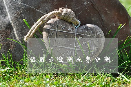信用卡逾期五年分期 信用卡逾期五年分期