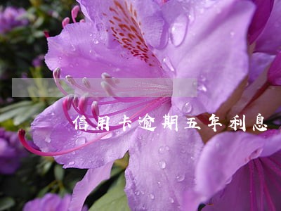 信用卡逾期五年利息 信用卡逾期五年利息