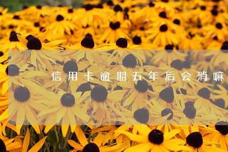 信用卡逾期五年后会消嘛 信用卡逾期五年后会消嘛