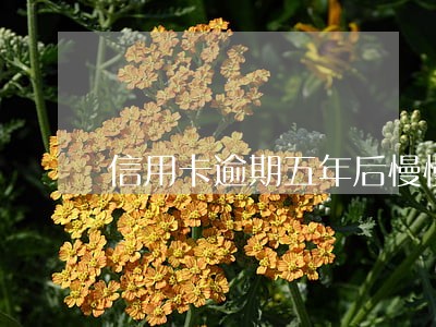 信用卡逾期五年后慢慢还款 信用卡逾期五年后慢慢还款