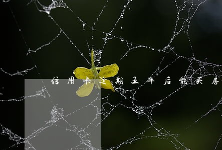 信用卡逾期五年后能买房吗 信用卡逾期五年后能买房吗