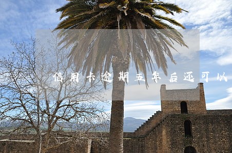 信用卡逾期五年后还可以申请吗