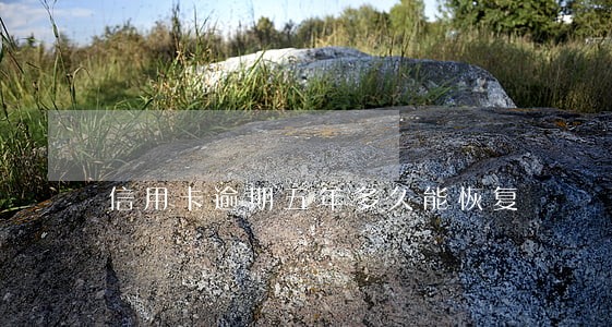 信用卡逾期五年多久能恢复