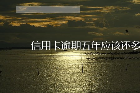 信用卡逾期五年应该还多少 信用卡逾期五年应该还多少
