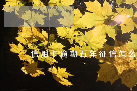 信用卡逾期五年征信怎么处理