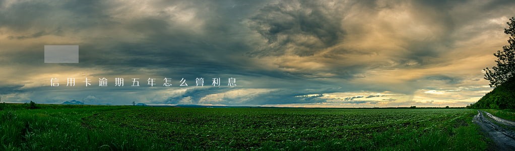 信用卡逾期五年怎么算利息 信用卡逾期五年怎么算利息