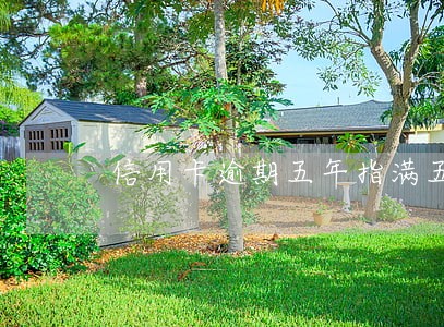 信用卡逾期五年指满五年整吗