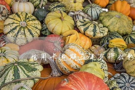 信用卡逾期五年有什么影响 信用卡逾期五年有什么影响
