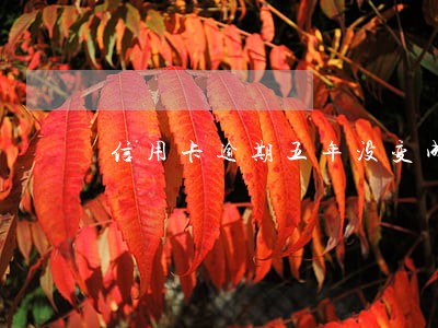 信用卡逾期五年没变成呆账 信用卡逾期五年没变成呆账