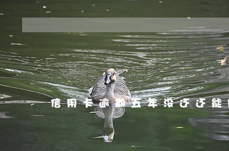 信用卡逾期五年没还还能网申信用卡吗 信用卡逾期五年没还还能网申信用卡吗