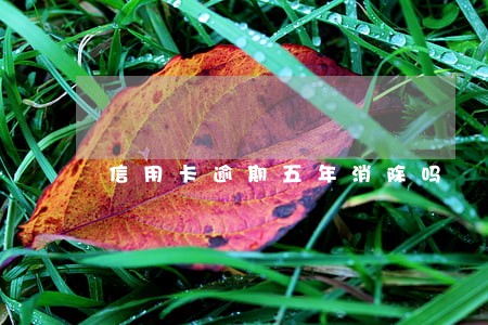 信用卡逾期五年消除吗 信用卡逾期五年消除吗