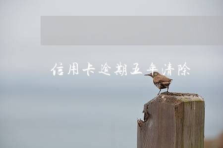 信用卡逾期五年清除