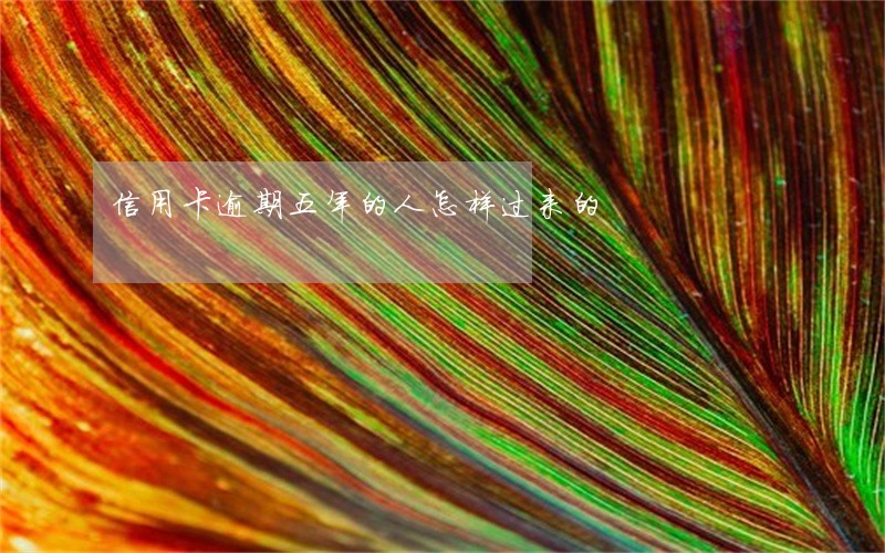 信用卡逾期五年的人怎样过来的