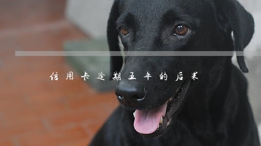 信用卡逾期五年的后果 信用卡逾期五年的后果