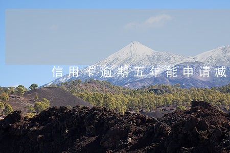 信用卡逾期五年能申请减免嘛