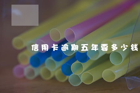 信用卡逾期五年要多少钱利息