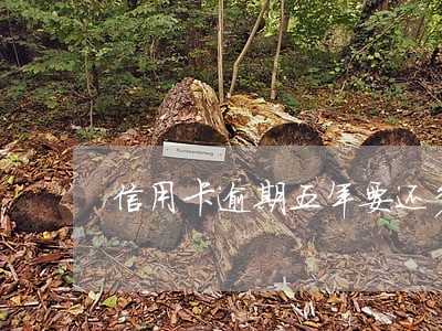 信用卡逾期五年要还多少 信用卡逾期五年要还多少