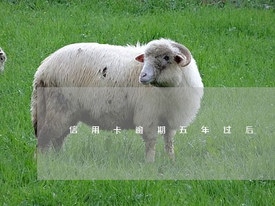 信用卡逾期五年过后 信用卡逾期五年过后