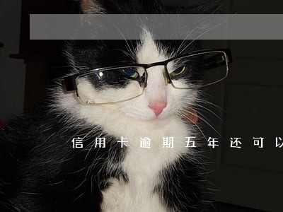 信用卡逾期五年还可以办房贷吗 信用卡逾期五年还可以办房贷吗
