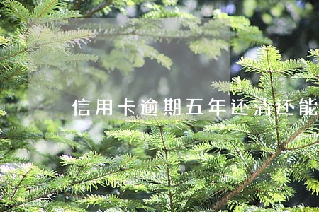 信用卡逾期五年还清还能办吗 信用卡逾期五年还清还能办吗